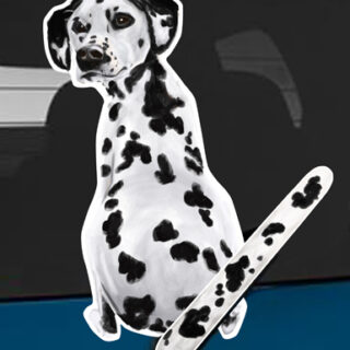 Dalmatian A dog rear window wagging wiper tail sticker