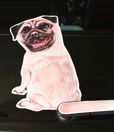 Pug real dog rear window wagging wiper tail sticker