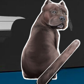Pitbull A dog rear window wagging wiper tail sticker